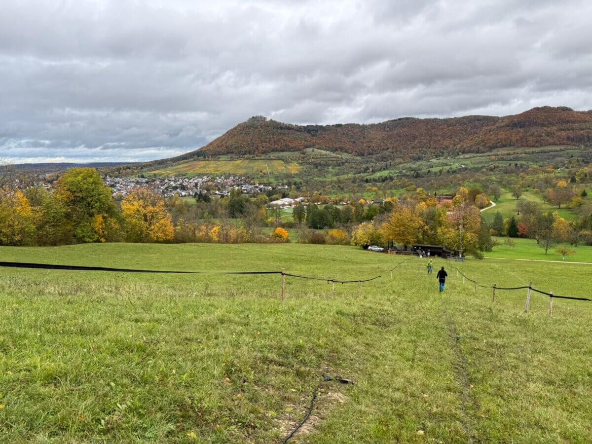 03 Liftaufbau 2025 26