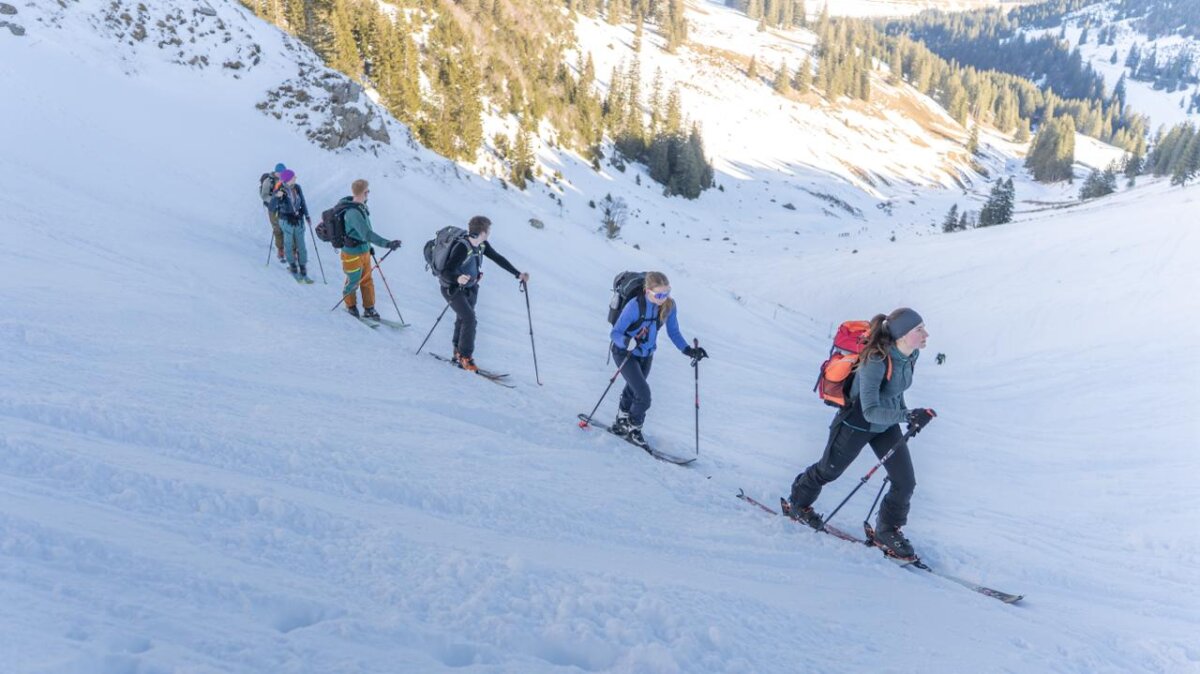 Whatsapp Image 2026 02 08 At 22.13.18(1)