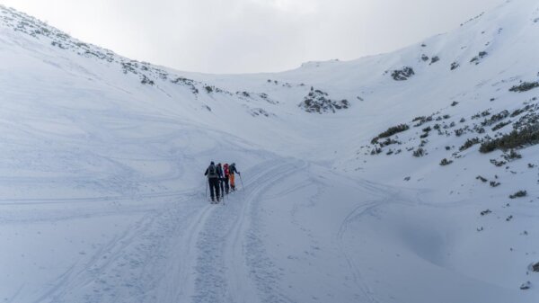 Whatsapp Image 2026 02 08 At 22.13.18(2)